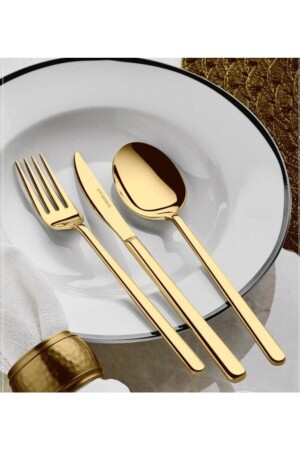 MNZ-Dmr الحياة Rüya ذهب التيتانيوم 42 قطعة ملعقة شوكة مجموعة 6 أشخاص Rüyagold - Demir Çeyiz