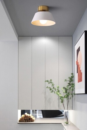 MNZ-Dolly الحديثة واحد فلوفونير مصباح معدني للدراج المدخل - Trend Avize