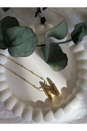(MNZ-DOMESTIC STEEL NECLACE with N LETTER) (صلب محلي مع حرف N) - Aslı Jewelry