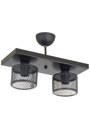 MNZ-Double Cage Model مودرن طلاء شاندليير LMBDR35411 - Lambadar