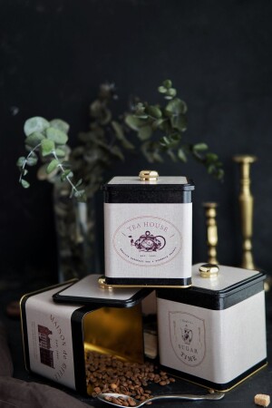 MNZ-Erb22v3 حاوية تخزين معدني مربع مع معقب المقبض 120x120 مجموعة من 3، Azura ERB22V3 - Evle