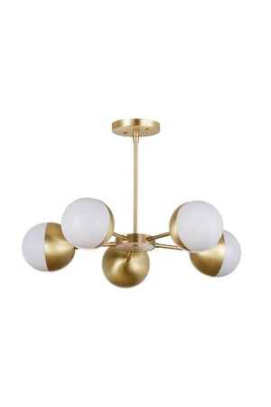 MNZ-Ferris - 5 قطع من الشنابل (مات غولد) 200402193611 - ekiLamp