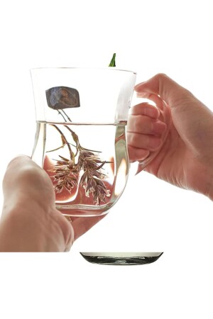 MNZ-Gourmet Ayran Glass 350cc 6 قطع Fma06010 074oa NR-PB55383 - Paşabahçe