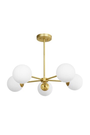 MNZ-Grammy - 5 Arm Chandelier (ميت جولد) 200915050626 - ekiLamp