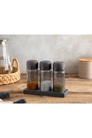 MNZ-Greta Glass 3-piece Spice Shaker 245 مل أنثرايت TYC00497280636 - English Home