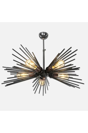 MNZ-Havsa خمسة أسود AVS-13006-5 - aviserra