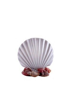 حامل فرشاة الأسنان MNZ-İnci D-14462 - Prima Nova