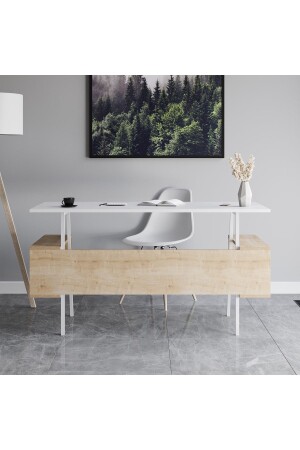 مكاتب المكتب من MNZ-Irony Maxi White Oak 40012 - lagomood