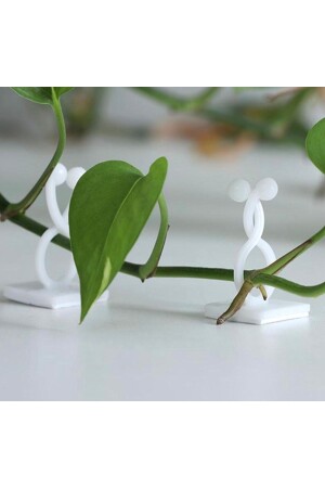 MNZ-Ivy حامل الزهور الحائط على الحائط صبغة العصا اللاصقة 100 قطعة حامل الكابل 1 - OEM