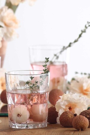 (MNZ-Keops) 6 قطع زجاج مشروب شديد - Lav