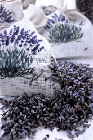 ساكيت MNZ-Lavender 30 قطعة - Frig Lavanta Tasarim Hediyelik