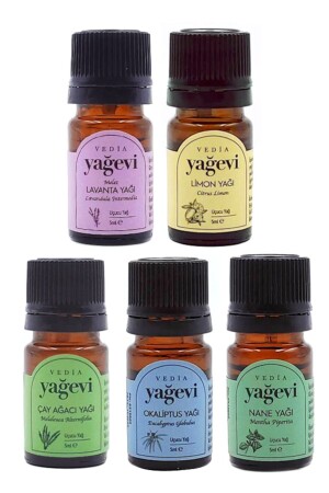 MNZ-Lavender Eucalyptus Mint Lemon Tea Tree 5x5ml مجموعة زيت ضروري - Yağevi