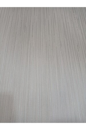 MNZ-Light Gray Light ديكوراتي ضوء مدفونة خلفية مُمحوّلة مع نمط فضي - Oskar