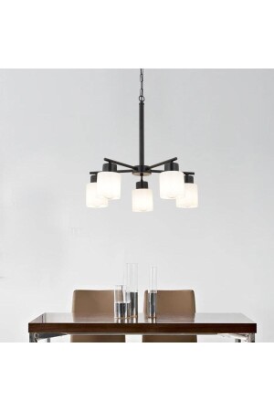 MNZ-Loreen 5 Li رياضي غرفة النوم الحديثة المطبخ غرفة المعيشة الشنادل 3447-05-DW - Apliqa