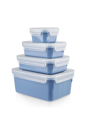 مجموعة ملونات MNZ-Masterseal من 4 Blue 3110600884 - TEFAL