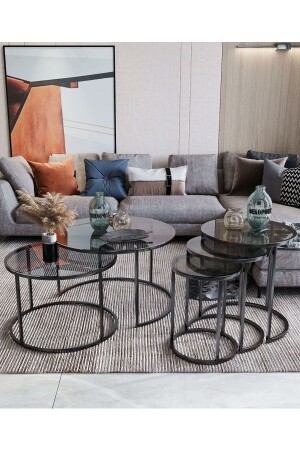 مجموعة طاولة القهوة MNZ-Milas - زجاجات دخان Dk3812 - Dekoport