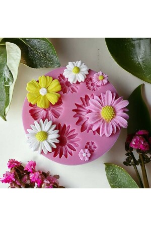 مجموعة من طلاءات الـ MNZ-MINI DAISIES SILICONE - Hobi Yap