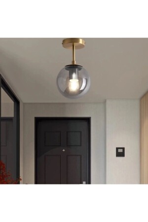 غرفة المعيشة من MNZ-Mini - المطبخ - غرفة النوم الزجاج الذهبية الأثرية اللون الدخان الزجاج الواحد السقف المزروع الشنابل - Modavize