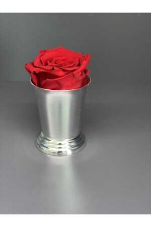 MNZ-Mini Rose Bucket Mnsn-gmskv - Genel Markalar