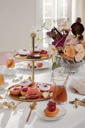 MNZ-Mini بروتينات البورتسلان TRYERY745 - LOVYCO