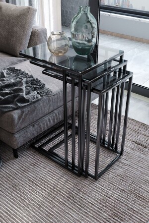 MNZ-Mira 3 مقاعد طاولة قهوة تعويض C طاولة قهوة - طاولة جانبية زجاجات مدخنة Dkmr3830 - Dekoport