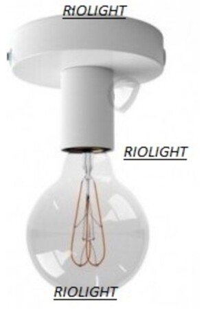 MNZ-Modern Ceiling Fixture Wall Sconce RIO000646 - RİOLİGHT