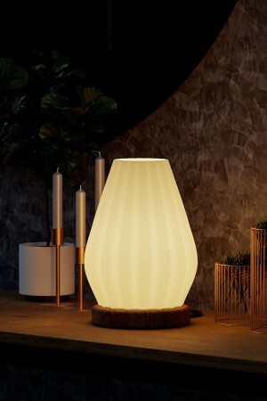 مُصمم من نوع MNZ-Modern Design Lampshade AH-003 - Genel Markalar