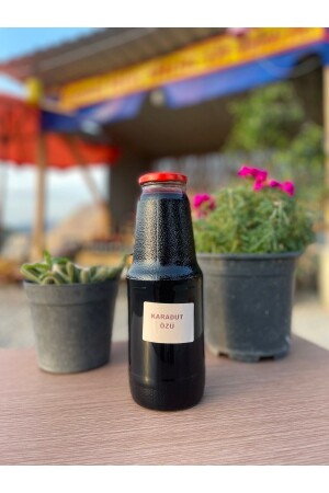 MNZ-Natural Black Mulberry Extract 1400 غرام 2 - KaradağDoğalÜrünler