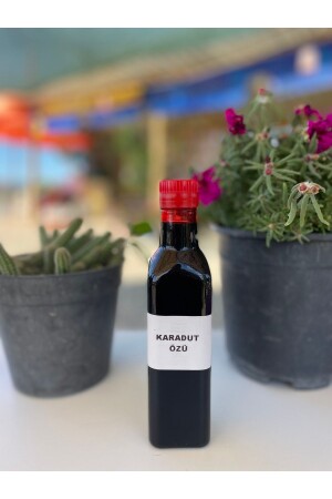 MNZ-Natural Black Mulberry Extract 350gr 27 - KaradağDoğalÜrünler