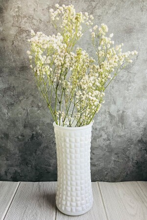 MNZ-Natural White Chipso Bundle 1. جودة التجميد لا تسرب الزهرة المجففة - Goya Home