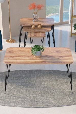 MNZ-Nesting Coffee Table Kr و Coffee Table Kr Set أسود ساقي أسلاك الجوز FMA1971 - GOLDFALEZ
