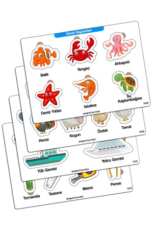 MNZ-Notpa التعليمية والتدريبية الخشب اللغز الملونة مجموعة 4 للأطفال 101 - Kututr