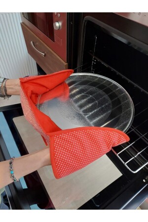 (MNZ-Oven) صانع سمك حمراء في الصحن (OBDK200) - OBİDEV