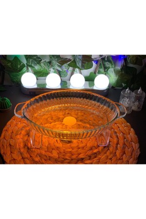 (MNZ-PAŞABAHÇE OVAL BORCAM) - Paşabahçe