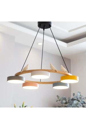 عضلة (MNZ-Phival) بسيطة (Candelier) - SimaAvize