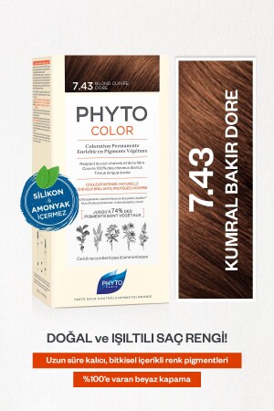 MNZ-Phytocolor 7. 43 أوبورن النحاس الذهب خالية من الأمونيا لون الشعر العشبية الدائمة 3338221004604 - Phyto