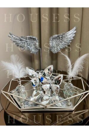 MNZ-Prism Silver Large Tray، 2 قطعة من الفضة الفراشة و 2 قطعة من الفضة حامل ريش HSS-TPSKLBKS4 - Housess