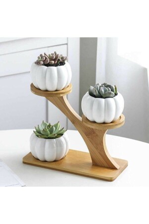 (MNZ-Pumpkin) - Çiçekhome