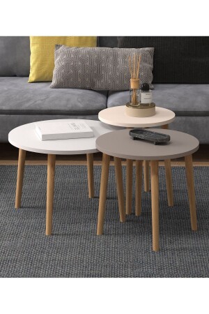 MNZ-Roma 3 قطع طاولة القهوة كريم رمادية أبيض روما طاولة القهوة كريم رمادية مظلمة بني - Monte Sehpa