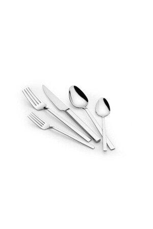 MNZ-Rona 60 قطعة معطف شوك سكين مجموعة PRA-3621138-2372 - KORKMAZ