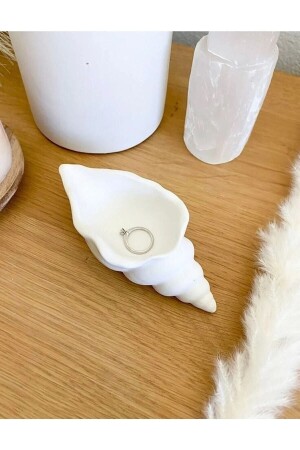 حامل شمعة من قشرة (MNZ-Sea Shell Candle Holder) / المنظم / المجوهرات / السلسلة - Mrn Home