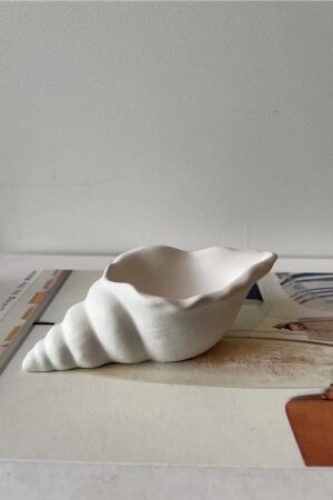 حامل شمعة ديكورية من قشرة (MNZ-Sea Shell) - لوحة مجوهرات - منظمة أبيض - Sooa