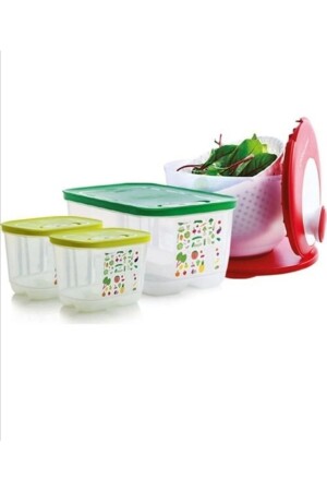 مجموعة سلاطة MNZ-Sera 282827153 - Tupperware