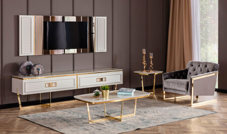 وحدة تلفزيون 