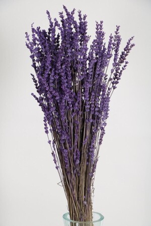 MNZ-Shock-Proof-Leak-Resistant ليفانجر حقيقية بنش بنفش (100 ج) - Hanımın Atölyesi