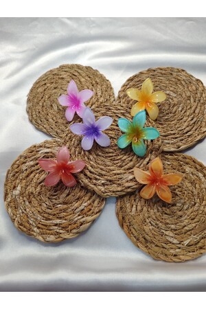 (MNZ-SMALL LOTUS BUCKLE) - (مجموعة 6 قطع) - (مجموعة 1710) - TETHOME