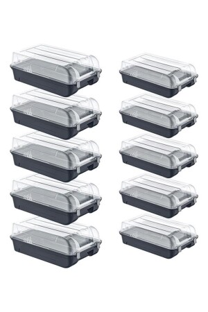 MNZ-Smartness 10 حزمة أنتراتيت 5 النساء و 5 الرجال مربع الأحذية - Smartware