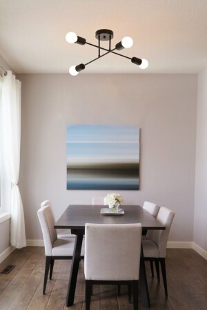 MNZ-Spider Cross لعبة رياضية حديثة مصباح السقف الأسود غرفة المعيشة - المطبخ - غرفة النوم 4 قطع من الشنابل (بدون كتيبه) börümcek6 - Fer Avize