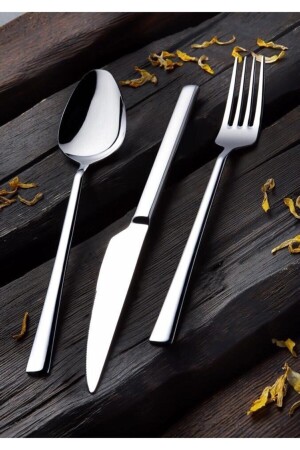 سكين مكنون فروك من قِبل (MNZ-Spring) 72 قطعة طلاء لـ 12 شخصًا - TERCAN