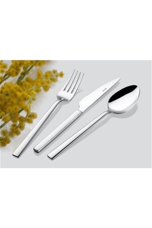 MNZ-Steel Nil 60 قطعة شوك ومعطفة مجموعة EMRINTER71 - İnter